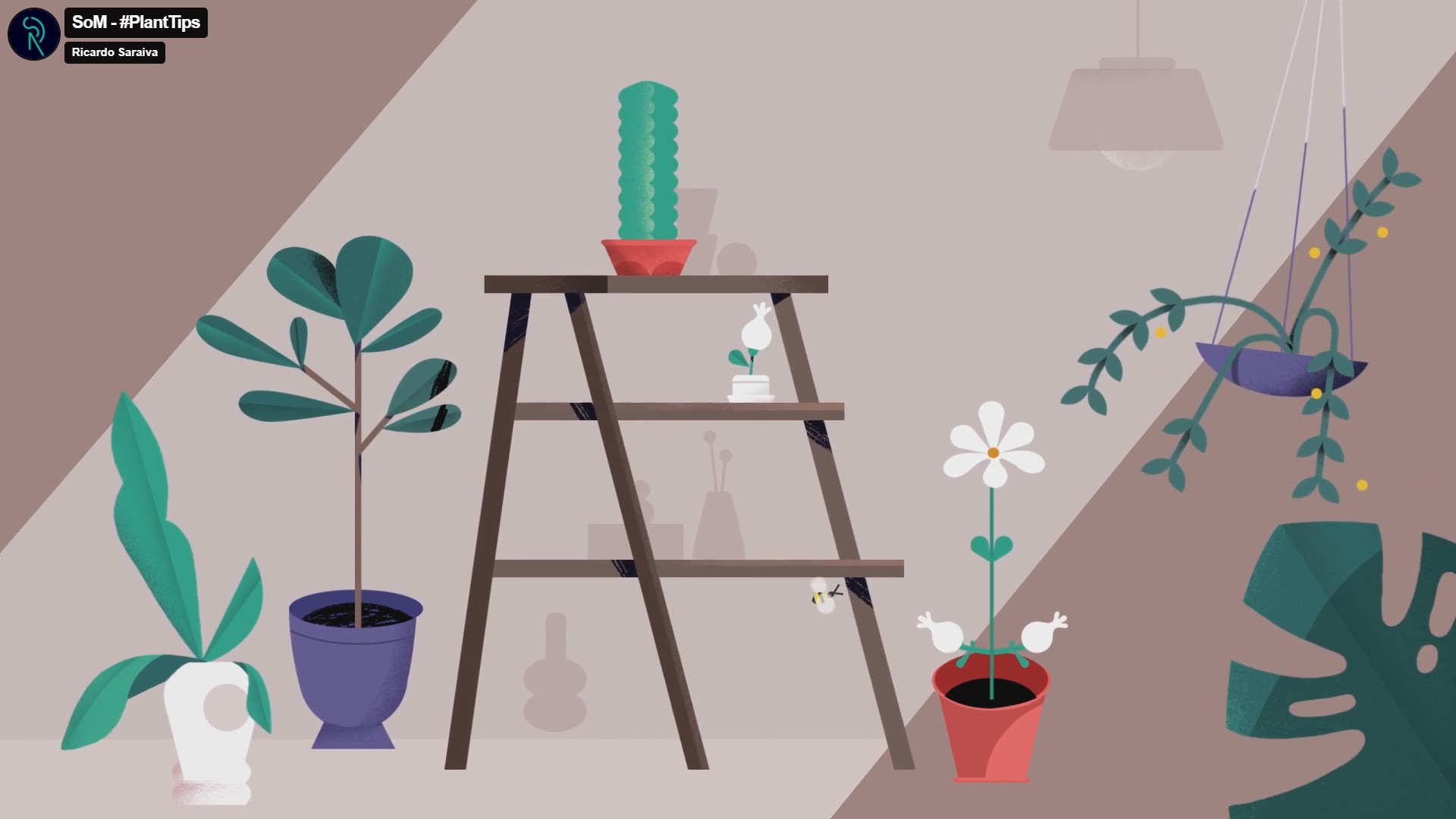 Plant Tips Motion Design Frame 2